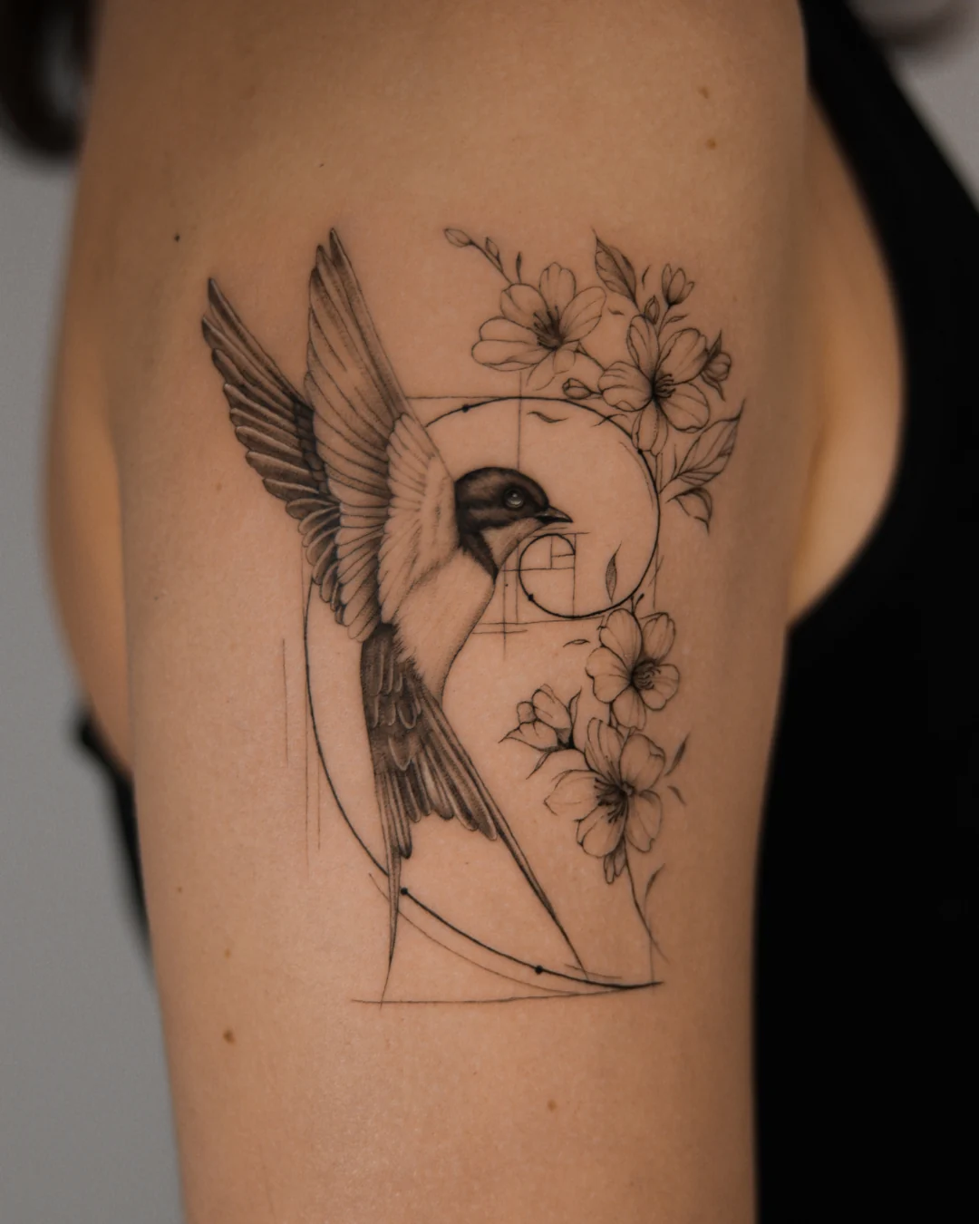 AndreaG (1) AndreaG (1)