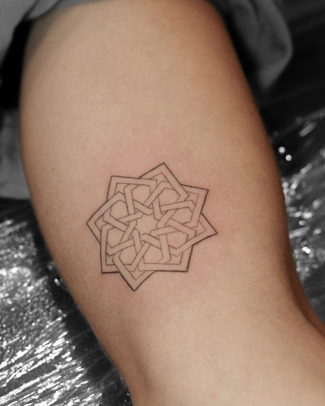 Fineline Andalusian (11) Fineline Andalusian (11)