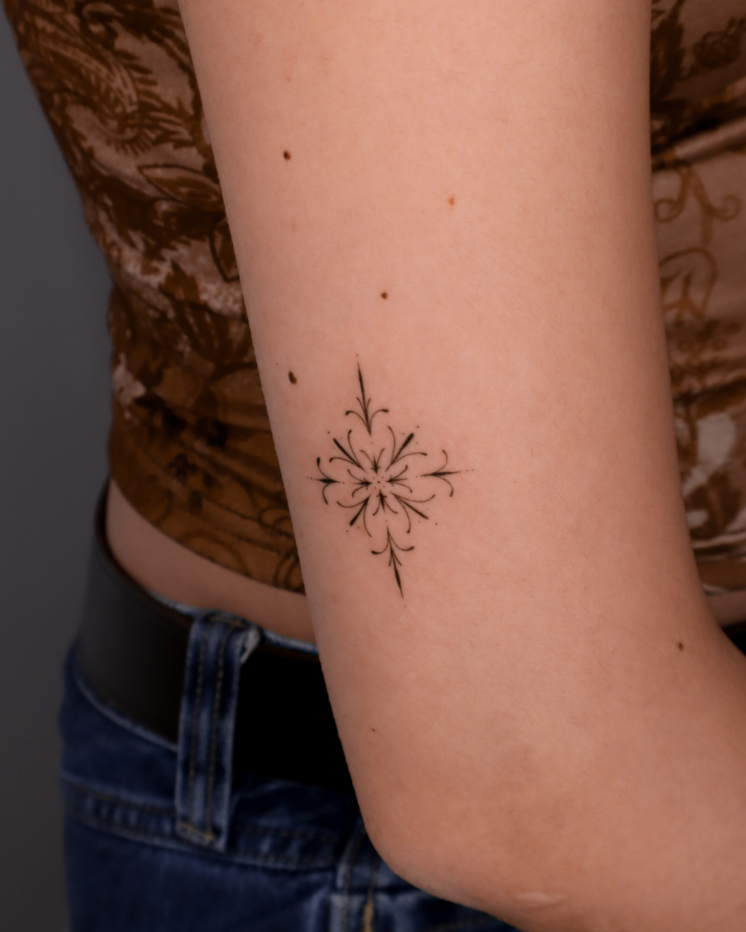 Fineline Andalusian (19) Fineline Andalusian (19)