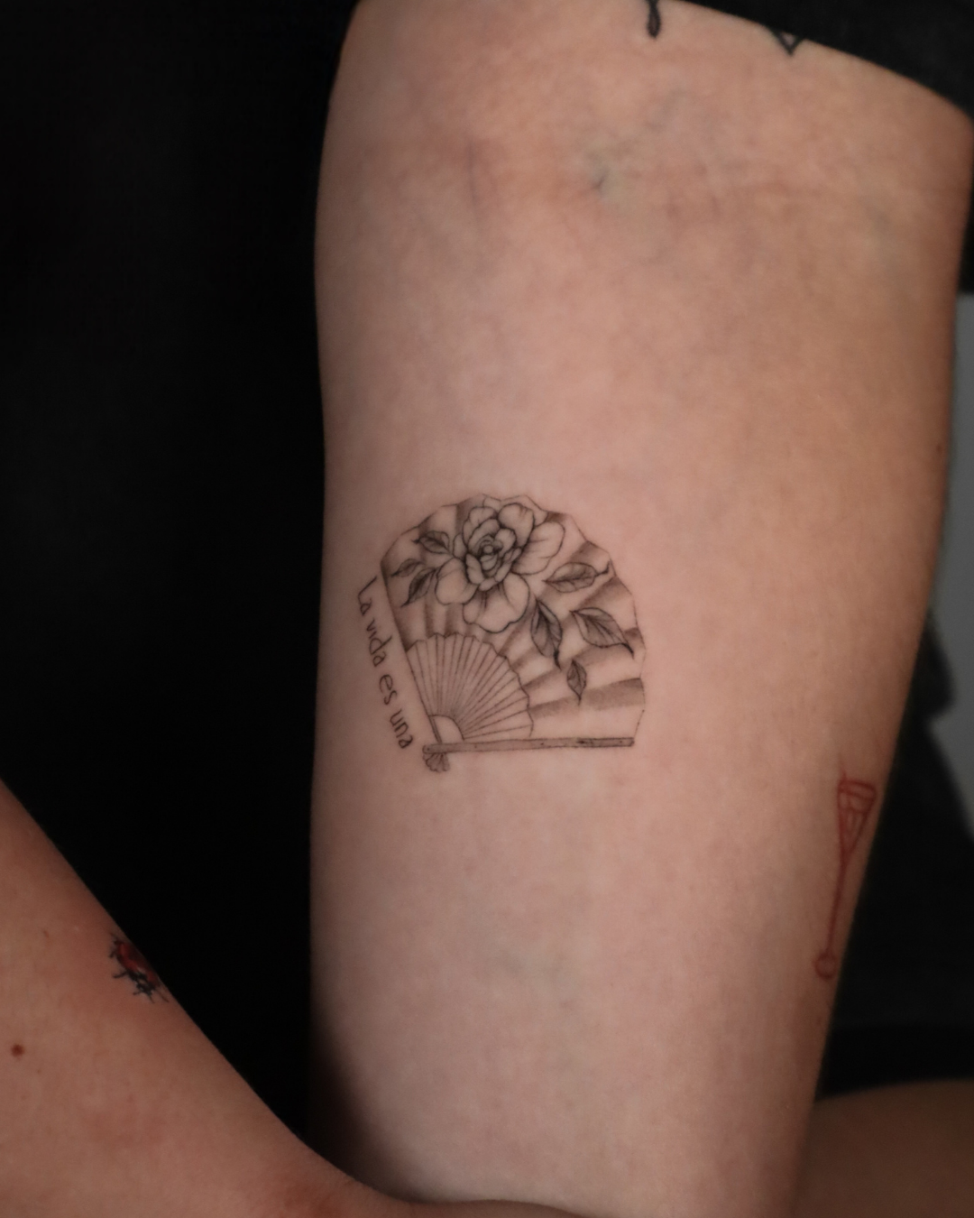 Fineline Andalusian (23) Fineline Andalusian (23)