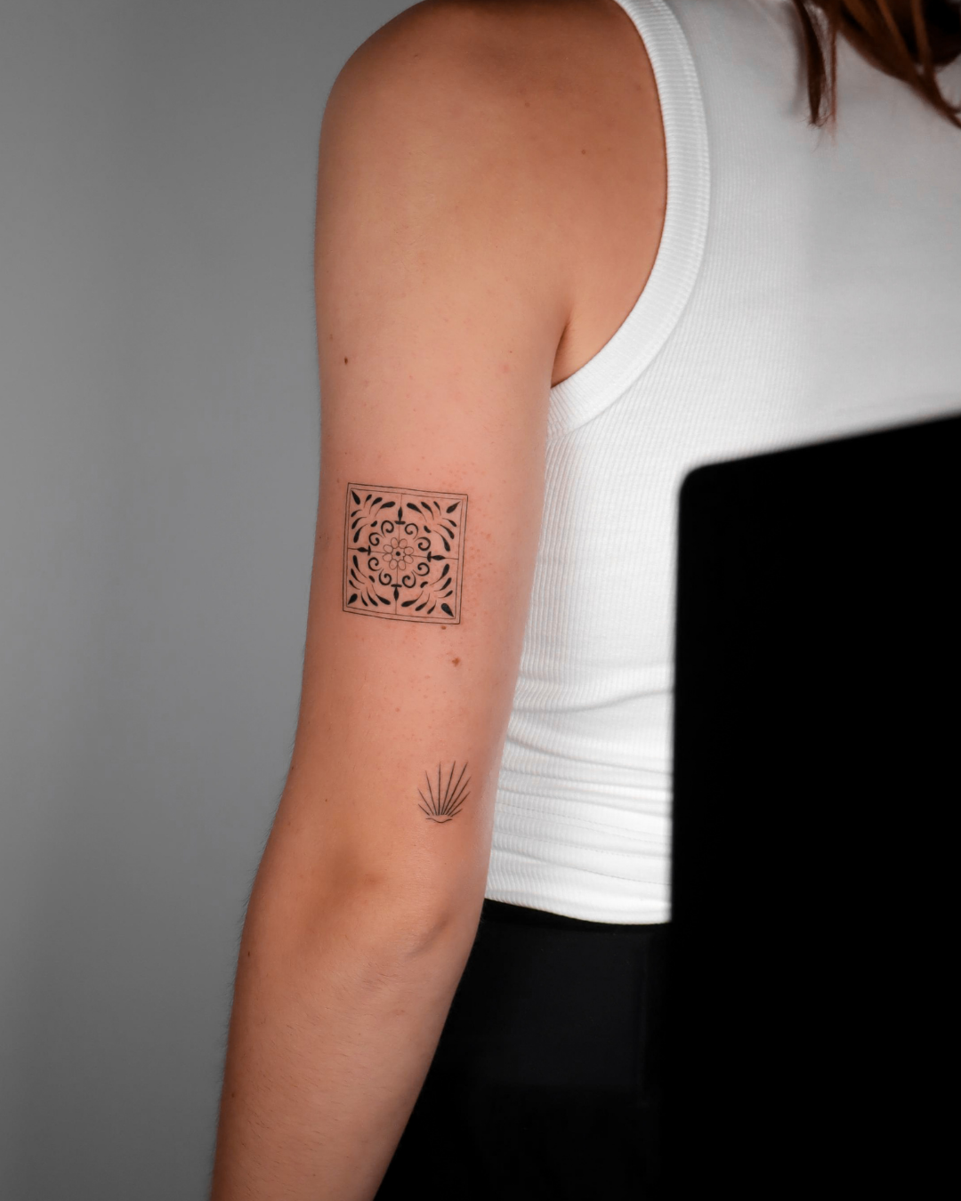 Fineline Andalusian (3) Fineline Andalusian (3)