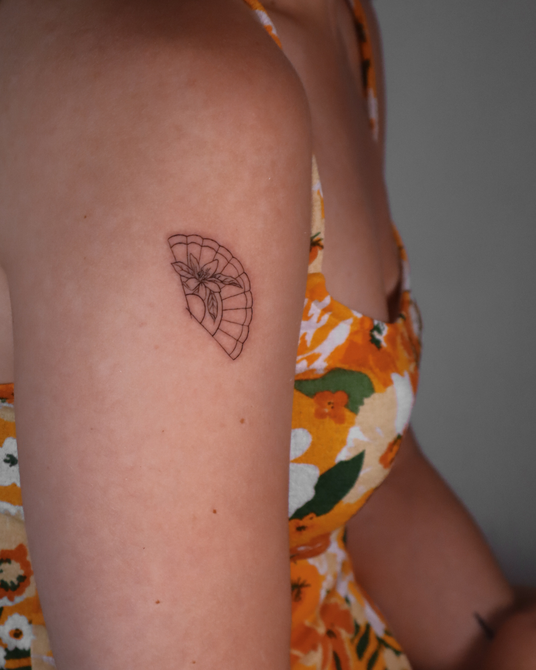 Fineline Andalusian (4) Fineline Andalusian (4)