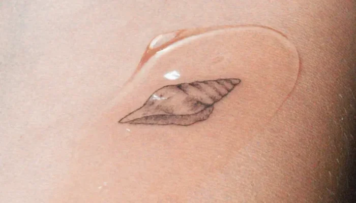 Fineline contenido (17)